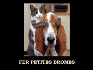 FER PETITES BROMES