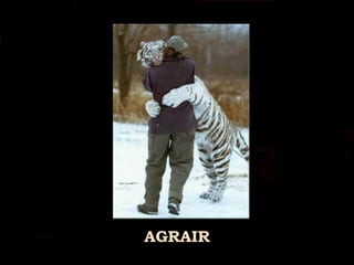 AGRAIR