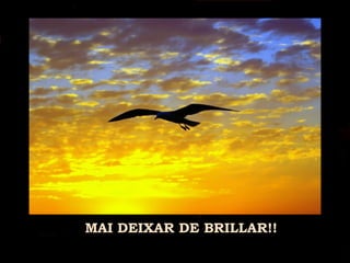 MAI DEIXAR DE BRILLAR!!
