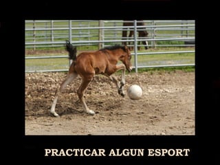 PRACTICAR ALGUN ESPORT