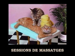 SESSIONS DE MASSATGES