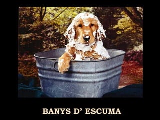 BANYS D’ ESCUMA