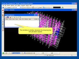 The window is empty, because the drawing has
            not yet been signed.
 