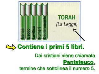Contiene i primi 5 libri.
Contiene i primi 5 libri.
Dai cristiani viene chiamata
Dai cristiani viene chiamata
Pentateuco
Pentateuco,
,
termine che sottolinea il numero 5.
termine che sottolinea il numero 5.
 