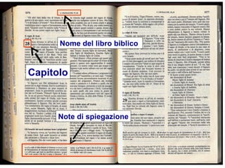Nome del libro biblico
Capitolo
Note di spiegazione
 