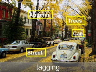 tagging http://www.flickr.com/photos/vshioshvili/187988222/ Autumn Street Trees Car 