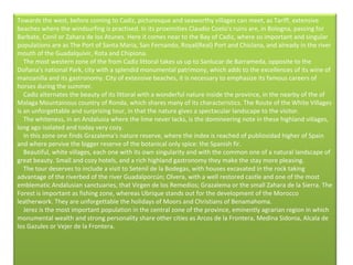 Towards the west, before coming to Cadiz, picturesque and seaworthy villages can meet, as Tariff, extensive beaches where the windsurfing is practised. In its proximities Claudio Coelo's ruins are, in Bologna, passing for Barbate, Conil or Zahara de los Atunes. Here it comes near to the Bay of Cadiz, where so important and singular populations are as The Port of Santa Maria, San Fernando, Royal(Real) Port and Chiclana, and already in the river mouth of the Guadalquivir, Rota and Chipiona.      The most western zone of the from Cadiz littoral takes us up to Sanlucar de Barrameda, opposite to the Doñana's national Park, city with a splendid monumental patrimony, which adds to the excellences of its wine of manzanilla and its gastronomy. City of extensive beaches, it is necessary to emphasize its famous careers of horses during the summer.      Cadiz alternates the beauty of its littoral with a wonderful nature inside the province, in the nearby of the of Malaga Mountainous country of Ronda, which shares many of its characteristics. The Route of the White Villages is an unforgettable and surprising tour, in that the nature gives a spectacular landscape to the visitor.      The whiteness, in an Andalusia where the lime never lacks, is the domineering note in these highland villages, long ago isolated and today very cozy.      In this zone one finds Grazalema's nature reserve, where the index is reached of publiosidad higher of Spain and where pervive the bigger reserve of the botanical only spice: the Spanish fir.       Beautiful, white villages, each one with its own singularity and with the common one of a natural landscape of great beauty. Small and cozy hotels, and a rich highland gastronomy they make the stay more pleasing.      The tour deserves to include a visit to Setenil de la Bodegas, with houses excavated in the rock taking advantage of the riverbed of the river Guadalporcún; Olvera, with a well restored castle and one of the most emblematic Andalusian sanctuaries, that Virgen de los Remedios; Grazalema or the small Zahara de la Sierra. The Forest is important as fishing zone, whereas Ubrique stands out for the development of the Morocco leatherwork. They are unforgettable the holidays of Moors and Christians of Benamahoma.      Jerez is the most important population in the central zone of the province, eminently agrarian region in which monumental wealth and strong personality share other cities as Arcos de la Frontera, Medina Sidonia, Alcala de los Gazules or Vejer de la Frontera.   