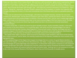 Shady top is the center of from Huelva littoral. It(he,she) has a soft microclimate, lightly humid, long beaches close to pinegroves and junipers. Cartaya's way, the Lagoon of the Portil, the Rompido and her(it) He(She) Laughs at the Piedral. It is a part of the calm littoral, with familiar(family) beaches and the possibility of practising multiple nautical sports. More towards the border with Portugal, Lepe - with his(its,her) immense plantations of strawberries-, island Cristina - fishing city-, Ayamonte. The latter locality is placed close to the Guadiana, in another time opposite with Portugal and today link of union. It is the most monumental city of the littoral and is close to a paradisiac place; Isla Canela.      To the east of cardinal Huelva we find Mazagón, with delicious and golden beaches, and later the zone more crowded one, Matalascañas, and the littoral of Doñana's park. Near there, towards the interior, there is The County, region of good wines with peoples(villages) as Bollullos, Almonte and the Palm, and the most crowded pilgrimage of Spain, which leads to the Rosemaries every year to the most universal village of the from Huelva marsh; The Dew.      In the edges of the County one thinks Fog, totally walled city that is the enclosure almohade better(best) preserved of Spain.      In his(its) varied offer, in which the nature has given valuable enclaves, Huelva assembles, besides, in the north part a portion of the Sierra Morena. It is a surprising region, with white and fresh peoples(villages) into that to develop historically has been leaving a deep fingerprint. Preserved well castles, churches, hermitages and up to mosques, yerguen in the localities in the middle of a landscape of pleasant forest with pinegroves, blockheads and chestnut-trees. In the saw they can find places of immaculate nature and in all his(its) brilliance.      The capital of this region is Aracena, where we prune to find his(its) castle templario, with church of the Century XIII in his(its) enclosure, and for below, the amazing Cave(Grotto) of the Marvels, probably the most romantic of the big Spanish caves.      In the peoples(villages) of the Region there happen hermitages that are a center of a great Marian devotion, as Our Lady of the Angels, in the Rock of Arias Mountainously, near Alájar, a magic place of the Andalusian geography and scene(stage) of a great pilgrimage every September 8. In Almonaster his(its) good is necessary to visit preserved Mosque, bordering to the Castle, and his(its,her) churches, where they surprise sometimes the details manuelinos.      In Aroche, the traveler will surprise his(its,her) walls and his(its) Castle - bullring, but it is not necessary to to forget to do a visit to the unusual Museum of the Rosario, where they can find thousands of valuable pieces.  