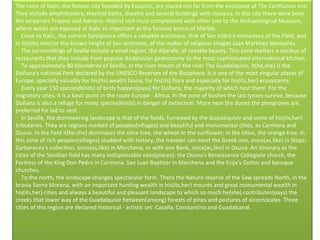 The ruins of Italic, the Roman city founded by Escipión, are placed not far from the enclosure of The Carthusian one. They include amphitheatre, thermal baths, theatre and several buildings with mosaics. In this city there were born the emperors Trajano and Adriano. His(its) visit must complement with other one to the Archaeological Museum, where works are exposed of Italic so important as the famous Venus of Marble.      Close to Italic, the current Santiponce offers a valuable enclosure, that of San Isidro's monastery of the Field, and in his(its) interior the known height of San Jerónimo, of the maker of religious images Juan Martínez Montañés.      The surroundings of Seville include a small region, the Aljarafe, of notable beauty. This zone shelters a nucleus of restaurants that they include from popular Andalusian gastronomy to the most sophisticated international kitchen.      To approximately 80 kilometres of Seville, in the river mouth of the river The Guadalquivir, it(he,she) is the Doñana's national Park declared by the UNESCO Reserves of the Biosphere. It is one of the most singular places of Europe, specially valuably for his(its) wealth fauna, for his(its) flora and especially for his(its,her) ecosystems.      Every year 150 species(kinds) of birds happen(pass) for Doñana, the majority of which nest there. For the migratory ones, it is a basic point in the route Europe - Africa. In the zone of bushes the last lynxes survive, because Doñana is also a refuge for many species(kinds) in danger of extinction. More near the dunes the pinegroves are, preferred for lad to nest.      In Seville, the domineering landscape is that of the fields, furrowed by the Guadalquivir and some of his(its,her) tributaries. They are regions marked of peoples(villages) and beautiful and monumental cities, as Carmona and Osuna. In the field it(he,she) dominates the olive tree, the wheat or the sunflower; in the cities, the orange tree. In this zone of rich peoples(villages) studded with history, the traveler can meet the Greek one, since(as,like) in Stops; Zurbaranes's collection, since(as,like) in Marchena; or with one Bank, since(as,like) in Osuna. An itinerary as the cities of the Sevillian field has many indispensable sites(places): the Osuna's Renaissance Collegiate church, the Fortress of the King Don Pedro in Carmona, San Juan Baptizer in Marchena and the Ecija's Gothic and baroque churches.      To the north, the landscape changes spectacular form. There the Nature reserve of the Saw spreads North, in the bravía Sierra Morena, with an important hunting wealth in his(its,her) mounts and great monumental wealth in his(its,her) cities and always a beautiful and pleasant landscape to which so much he(she) contributes(pays) the creeks that lower way of the Guadalquivir between(among) forests of pines and pastures of alcornocales. Three cities of this region are declared historical - artistic set: Cazalla, Constantina and Guadalcanal. 
