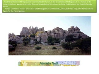    Another attraction of the province it constitutes the Torcal, in the proximities of Antequera. It is a marvel of the nature, declared Nature, impressive Reserve for geological formations, a clump that the wind has chiselled showy forms.      To few kilometres also we prune to locate the Lagoon of Fuente Piedra, small, but most frequented of the whole Spain for the Flemings rose.  