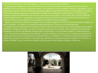 Junto a Palma del Río se unen el Guadalquivir y el Genil, el otro gran río de Andalucía.      El paisaje de la Campiña es el que mejor define a la provincia de Córdoba. En esta campiña -tierras de labor pobladas de olivares, viñedos y pequeñas huertas-, se encuentran muchas ciudades hermosas, como Baena, con un importante conjunto monumental del que sobresale la Iglesia de Santa María la Mayor, de estilo gótico, o Nuestra Señora de Guadalupe, que aúna un artesonado mudéjar con un espléndido retablo barroco. En Montemayor podemos admirar el Castillo del Duque de Frías, de curiosa traza mudéjar, y en la capital de la comarca, Montilla -capital también del vino-, hay buenas, parroquias que ofrecen excelentes pinturas, como la de Santa Clara, con cuadros de Alonso Cano, además de una estupenda portada del último estilo gótico.      Aguilar, otra hermosa ciudad de la campiña, tiene una plaza octogonal, la Plaza de San José, armónica y alegre, de estilo neoclásico, y no faltan en la ciudad delicadas joyas barrocas, como las Carmelitas Descalzas.      El amplio norte de la provincia de Córdoba es la Sierra Morena, con comarcas muy caracterizadas, como la de los Pedroches. Hinojosa del Duque, uno de los hermosos pueblos de esta comarca, tiene una iglesia de dimensiones catedralicias, la de San Juan Bautista, ejemplo gótico-renacentista, con artesonado mudéjar y retablos barrocos.      El la misma comarca, Belalcazar sorprende por su castillo medieval, mientras que en Torrecampo admiramos el Casino, que fuera Casa de la Inquisición y Posada del Moro. Es un edificio con excelentes colecciones pictóricas. La capital de la comarca es Pozoblanco ciudad agrícola y ganadera con paisajes que aúnan la dehesa con el olivar, e incluso el viñedo. En esta comarca hay pueblos míticos, como Fuente Obejuna, Belmez, y Peñarroya. 