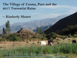 Cosma	fields	with	the	largest	of	the	mounds	in	the	background.	In	the	
foreground,	alfalfa	field	and	Naty,	a	resident	of	Cosma	milking	one	of	her	cows.
The Village of Cosma, Peru and the
2017 Torrential Rains
~ Kimberly Munro
 
