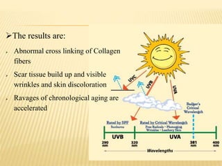 The results are:
 Abnormal cross linking of Collagen
fibers
 Scar tissue build up and visible
wrinkles and skin discoloration
 Ravages of chronological aging are
accelerated
 