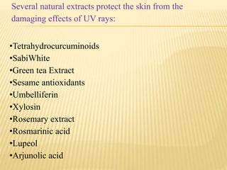 Several natural extracts protect the skin from the
damaging effects of UV rays:
•Tetrahydrocurcuminoids
•SabiWhite
•Green tea Extract
•Sesame antioxidants
•Umbelliferin
•Xylosin
•Rosemary extract
•Rosmarinic acid
•Lupeol
•Arjunolic acid
 