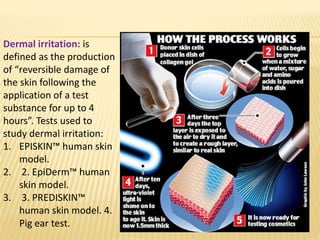 Dermal irritation: is
defined as the production
of “reversible damage of
the skin following the
application of a test
substance for up to 4
hours”. Tests used to
study dermal irritation:
1. EPISKIN™ human skin
model.
2. 2. EpiDerm™ human
skin model.
3. 3. PREDISKIN™
human skin model. 4.
Pig ear test.
 