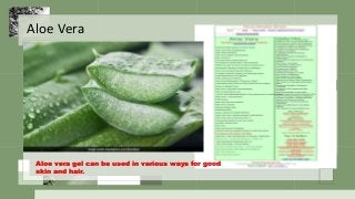 Aloe Vera
Aloe vera gel can be used in various ways for good
skin and hair.
 