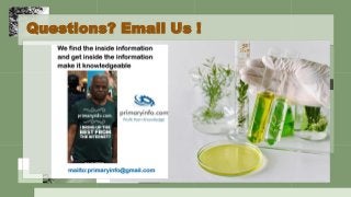 Questions? Email Us !
 