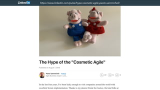 WHAT ARE THE PROBLEMS?
THE COSMETICS AGILE DRAWBACKS
 
