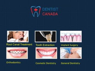 Root Canal Treatment Tooth Extraction Implant Surgery
Orthodontics Cosmetic Dentistry General Dentistry
 