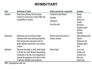 Humectant Wikipedia Cosmetic Excipients used in Formulations | PPTX