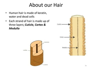 About our Hair
• Human hair is made of keratin,
water and dead cells
• Each strand of hair is made up of
three layers; Cuticle, Cortex &
Medulla
79
 