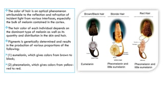 Hair Color Science Chemistry of cosmetics (hair treatment).pptx
