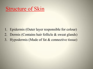 Structure of Skin
1. Epidermis (Outer layer responsible for colour)
2. Dermis (Contains hair follicle & sweat glands)
3. H...