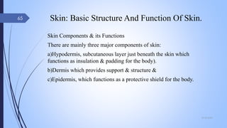 Skin: Basic Structure And Function Of Skin.
Skin Components & its Functions
There are mainly three major components of skin:
a)Hypodermis, subcutaneous layer just beneath the skin which
functions as insulation & padding for the body).
b)Dermis which provides support & structure &
c)Epidermis, which functions as a protective shield for the body.
09-02-2022
65
 
