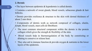 2. Dermis
• The layer between epidermis & hypodermis is called dermis.
• Contains a network of sweat glands, blood vessels, sebaceous glands & hair
follicles.
• Dermis provides resilience & structure to the skin with dermal thickness of
about 2 mm thick.
• Components of dermis work as network composed of collagen, elastin,
lymph, blood vessels, mast cells & fibroblasts
• The most common structural component within the dermis is the protein
collagen which gives the strength & flexibility of the skin.
• Blood vessels help in thermoregulation of the body by constricting or
dilating to conserve or release heat.
• They also aid in immune function & provide oxygen & nutrients to the lower
layers of the epidermis.
09-02-2022
70
 
