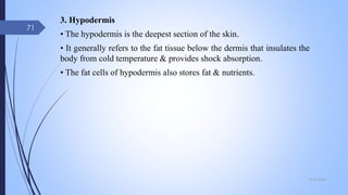 3. Hypodermis
• The hypodermis is the deepest section of the skin.
• It generally refers to the fat tissue below the dermis that insulates the
body from cold temperature & provides shock absorption.
• The fat cells of hypodermis also stores fat & nutrients.
09-02-2022
71
 