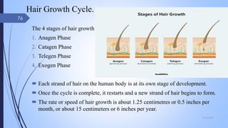 Hair Growth Cycle.
The 4 stages of hair growth
1. Anagen Phase
2. Catagen Phase
3. Telegen Phase
4. Exogen Phase
 Each strand of hair on the human body is at its own stage of development.
 Once the cycle is complete, it restarts and a new strand of hair begins to form.
 The rate or speed of hair growth is about 1.25 centimetres or 0.5 inches per
month, or about 15 centimeters or 6 inches per year.
09-02-2022
76
 