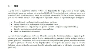 COSMETOLOGIA, fundamentos básicos e salutares pptx