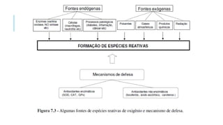 COSMETOLOGIA, fundamentos básicos e salutares pptx