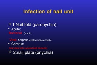 Infection of nail unit
1.Nail fold (paronychia):
 Acute:
Bacterial : (staph),

Viral: herpetic whitlow honey-comb)
 Chronic:
(Candida with superadded bacteria)

 2.nail plate (onychia)

 
