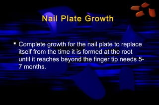 Nail Plate Growth
 Complete growth for the nail plate to replace
itself from the time it is formed at the root
until it reaches beyond the finger tip needs 57 months.

 