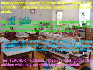 Interdependence among all forms of life is visible in the symbiotic interaction among humans, animals and plants. Man’s role in the promotion and preservation of this culture of collaboration is to take good care of the environment to maintain ecological balance. The CHILD is ushered into this milieu via learning episodes as he experiences, explores, discovers, learns and grows within the context of a prepared environment The TEACHER facilitates, observes and guides the children while they work with sensorial materials. 
