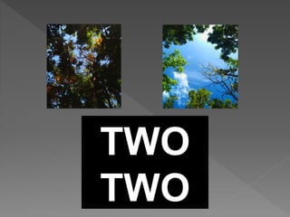TWO
TWO
 