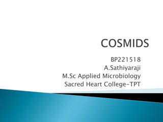 BP221518
A.Sathiyaraji
M.Sc Applied Microbiology
Sacred Heart College-TPT
 