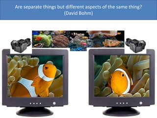 Are separate things but different aspects of the same thing?
(David Bohm)
 