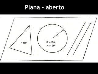 Plana - aberto
 