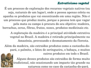 Extrativismo vegetal  É um processo de exploração dos recursos vegetais nativos (ou seja, naturais de um lugar), onde a pessoa apenas coleta ou apanha os produtos que vai encontrando em uma região. Não é um processo que produz muito, porque a pessoa tem que vagar pela mata ou campo à procura do seu objetivo: madeira, borrachas, ceras, fibras, frutos, nozes, produtos medicinais etc.  A exploração da madeira é a principal atividade extrativa vegetal no Brasil. A madeira é retirada principalmente na Amazônia, provocando o desmatamento da floresta.  Além da madeira, são extraídos produtos como a castanha-do-pará, o palmito, o látex de seringueira, o babaçu, e muitos outros produtos em todo o Brasil.  Alguns desses produtos são extraídos de forma muito tradicional, não ocasionando um impacto tão grande na natureza como no caso da castanha-do-pará.  