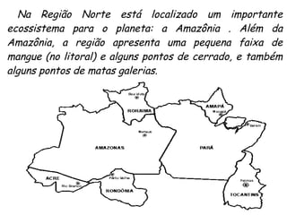 Na Região Norte está localizado um importante ecossistema para o planeta: a Amazônia . Além da Amazônia, a região apresenta uma pequena faixa de mangue (no litoral) e alguns pontos de cerrado, e também alguns pontos de matas galerias. 