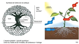 102
Enfin apprécier Laniakea après ces explications et le local Void à 3,49min et sa
symétrie flux d’énergie-matière
 