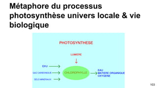 Résumons
l’Univers local selon
métaphore de l’arbre de la vie
103
 
