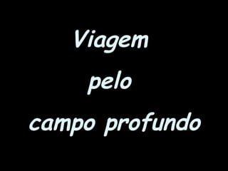 Viagem
pelo
campo profundo
 