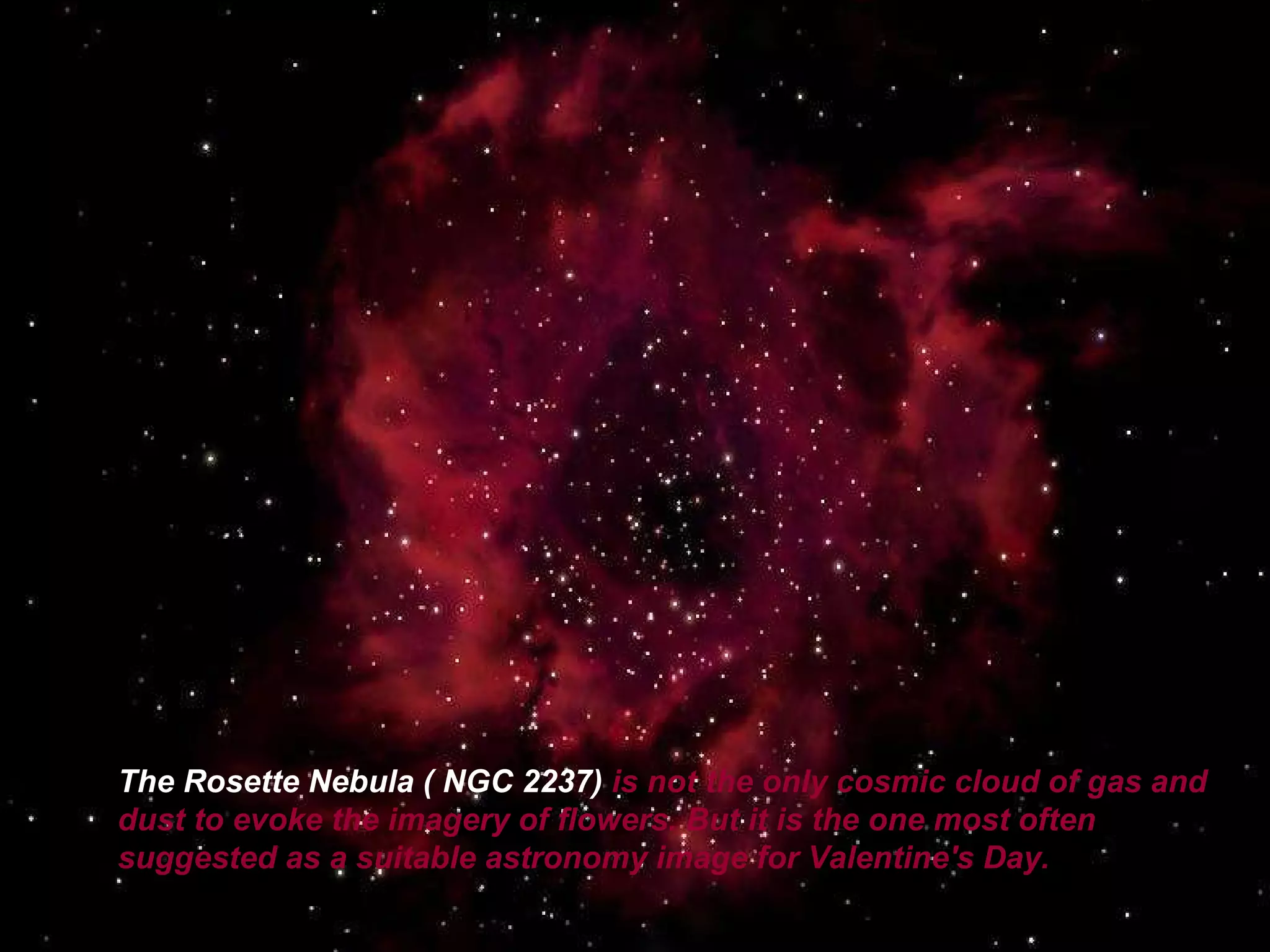The Rosette Nebula ( NGC 2237)   is not the only cosmic cloud of gas and dust   to evoke the imagery of flowers. But it is the one most often suggested as a suitable astronomy image for Valentine's Day.   