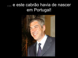… e este cabrãohavia de nascer em Portugal!