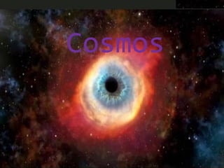 Cosmos
 
