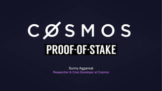 Sunny Aggarwal
Researcher & Core Developer at Cosmos
S D
 