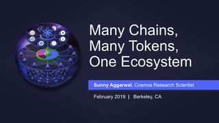 Many Chains,
Many Tokens,
One Ecosystem
Sunny Aggarwal, Cosmos Research Scientist
February 2019 | Berkeley, CA
 